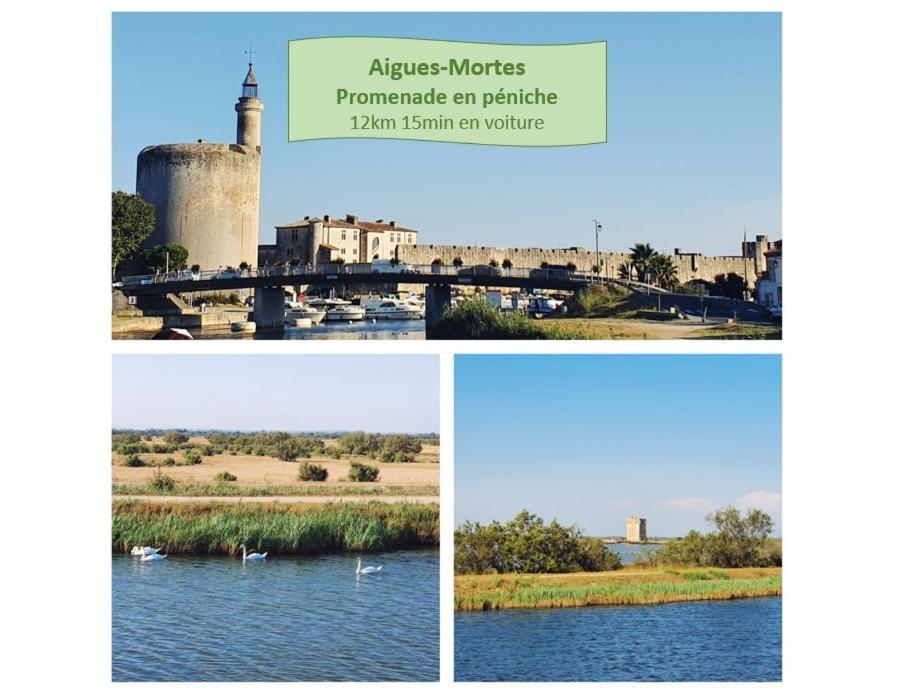 L'Olympe Vue Lac Parking Clim Wifi - Rossiconciergerie - Linge Inclus La Grande-Motte Zewnętrze zdjęcie